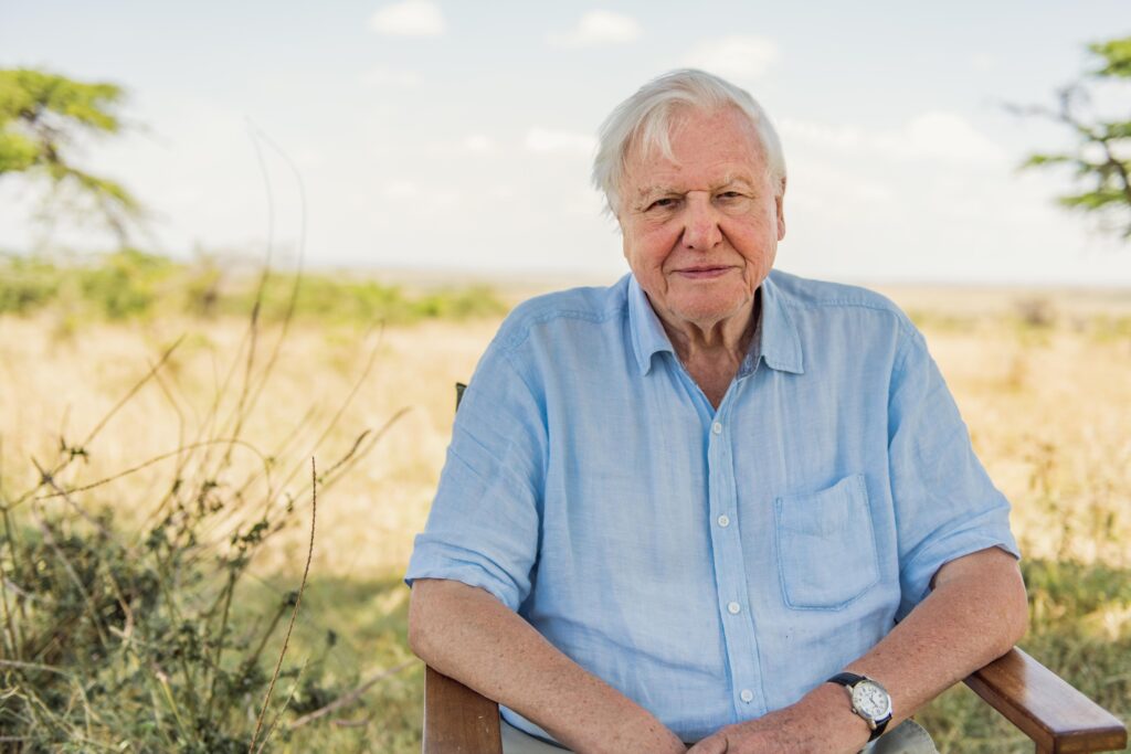 david attenborough documentaries