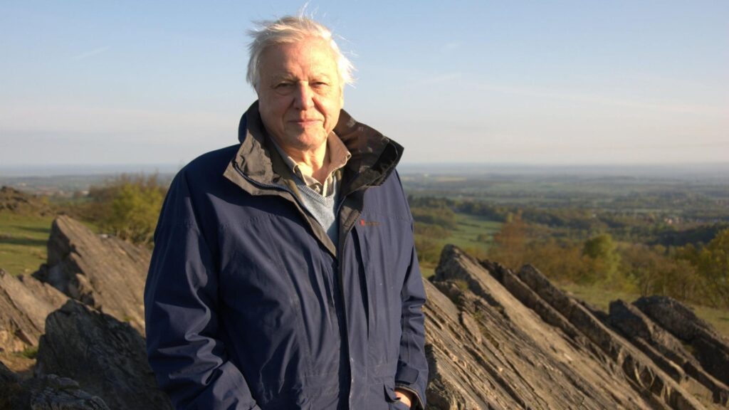 david attenborough documentaries