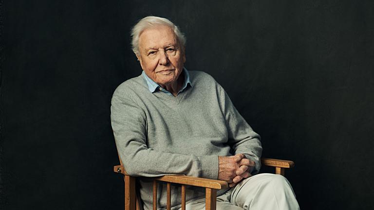 david attenborough documentaries